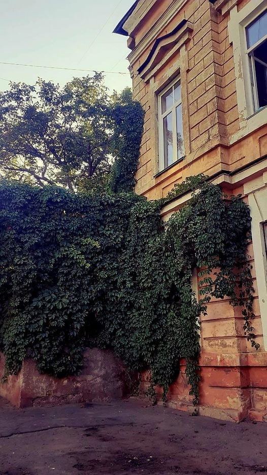 сигаретку. и за работаньку. скоро леточко😡