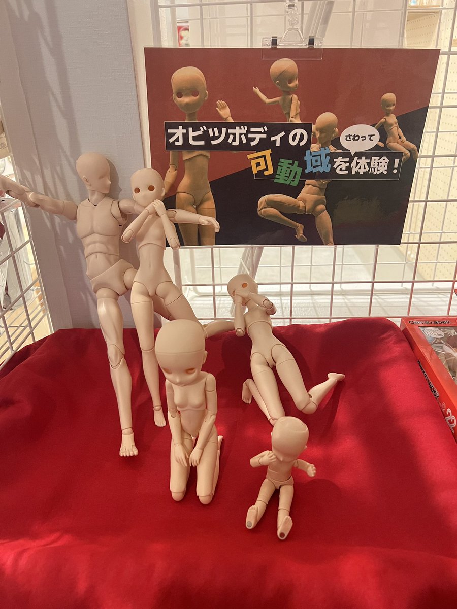 okbase_jp's tweet photo. オビツボディの可動域を実際に体験できます!
#popupobitsu #高円寺 #obitsubody #obitsusofvi https://t.co/EfUwgGTLB1