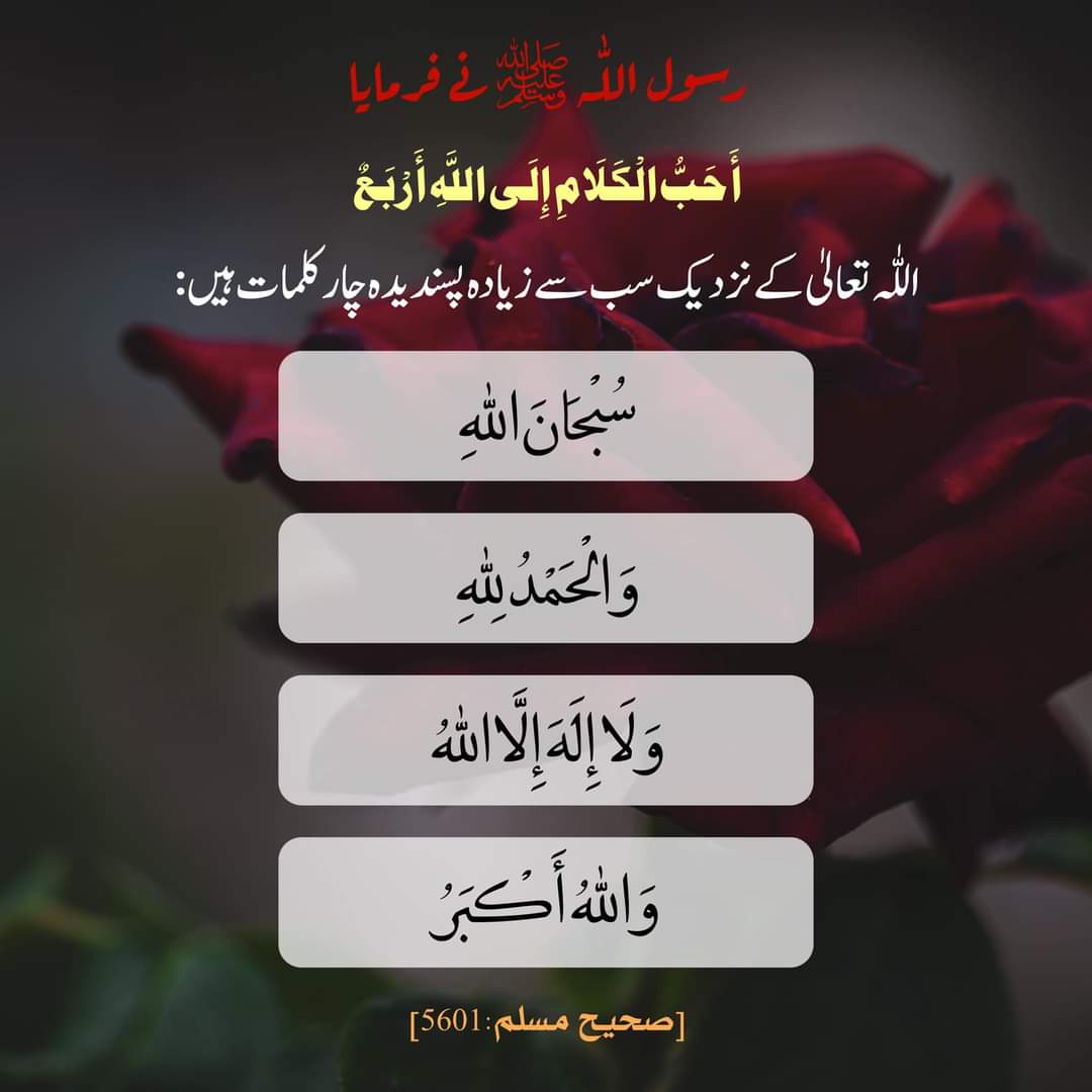 #Islam #islamicquotes