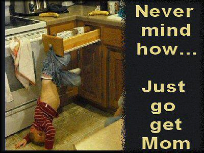 AZChildproofers's tweet photo. Arizona Childproofers
info@azchildproofers
480-634-7366

Question of the Day from Arizona Childproofers......Would you take a picture first before you remedy the situation or would you help the little guy first?

#ChildSafety #WhattheHeckMoment! #Childproofer https://t.co/2d0Wr5RiqT