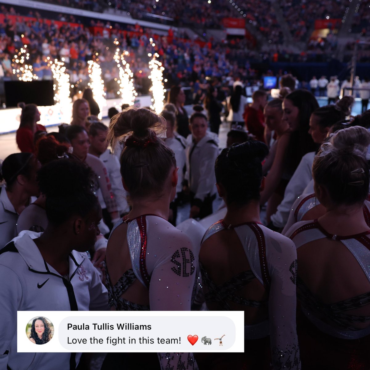BamaGymnastics's tweet image. 4️⃣ our fans.

We see you, we hear you, we love you. 

We need YOU this Friday at Coleman. Bring your passion. Bring your energy. Bring your friends. 

#FTF #RollTide