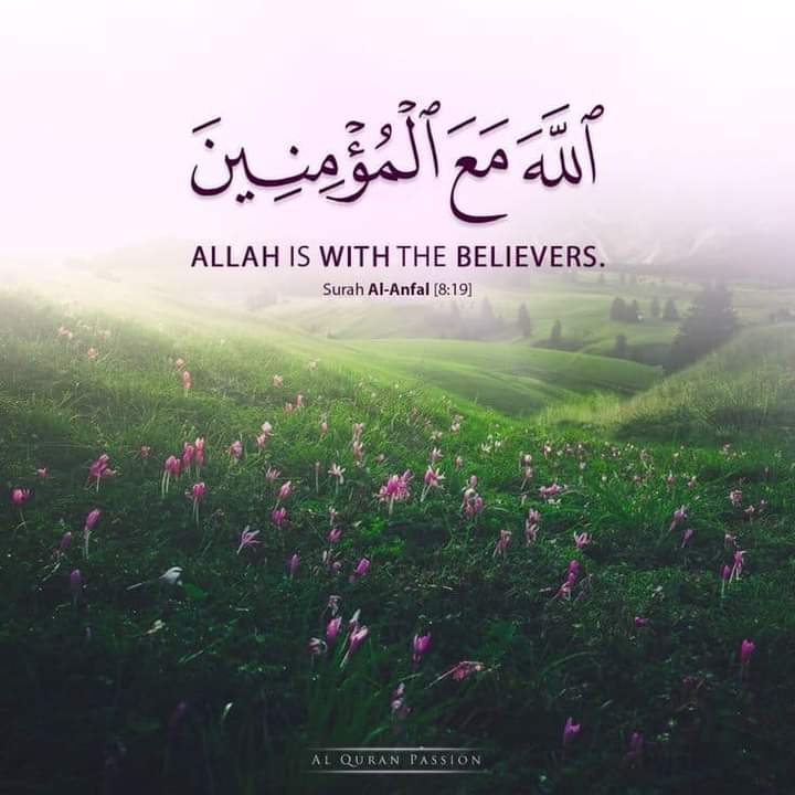 mountainedge9's tweet photo. Good morning
Have a nice day
🇵🇰 https://t.co/1st6mNpu3K