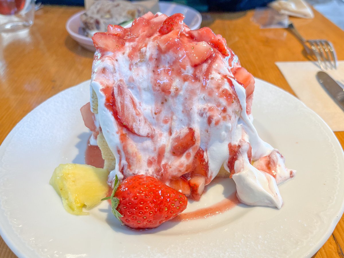 hiyocona's tweet photo. 台湾カステラ目当てで、、美味しかった〜 カンパーニュといえば映画しあわせのパン #kkvel https://t.co/OA95s71BJd