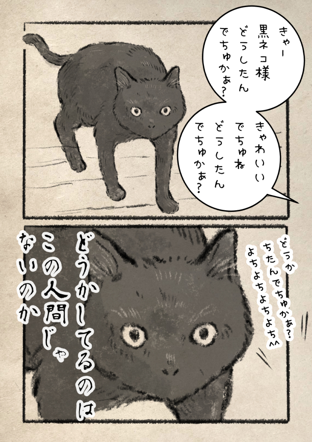 猫さん様 猫 さん (@qtKVkhcNpkIxw9b) / X