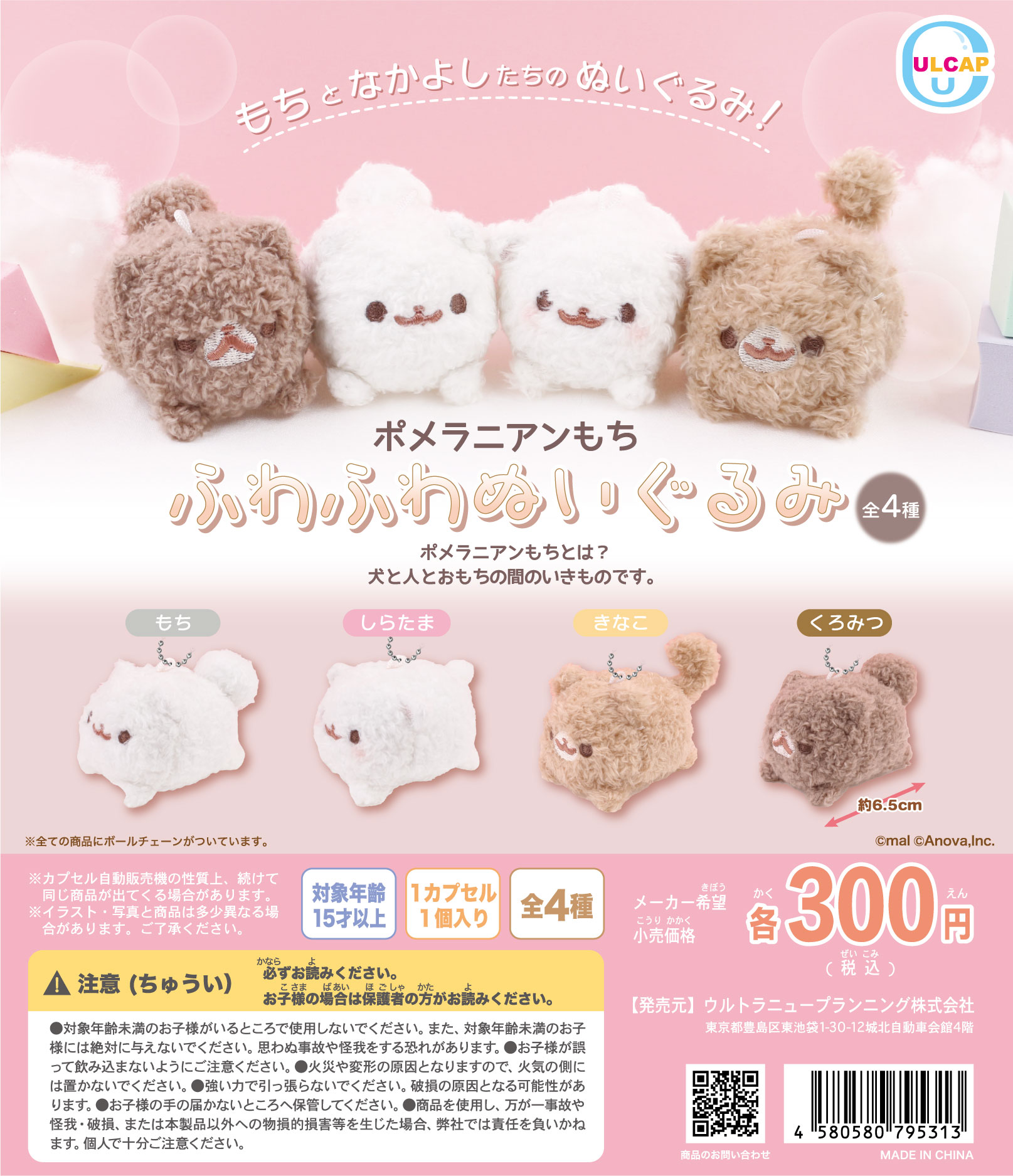 ポメラニアンもち ฅ•ﻌ•ฅ✨