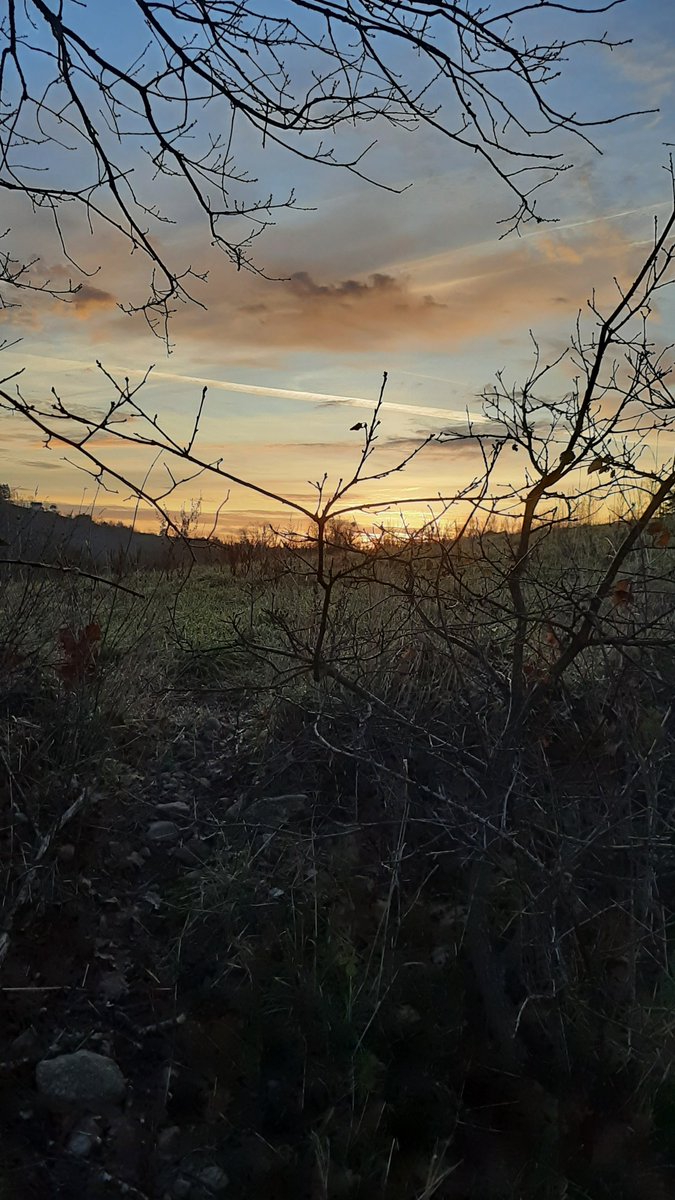 zazafontaine42's tweet photo. Bonjour mes Ami(es)💚
Je vous souhaite une belle et douce journée pleine d'amour
Soyez prudent(es) et prenez soin de vous💚 https://t.co/KrqRfIsQFj