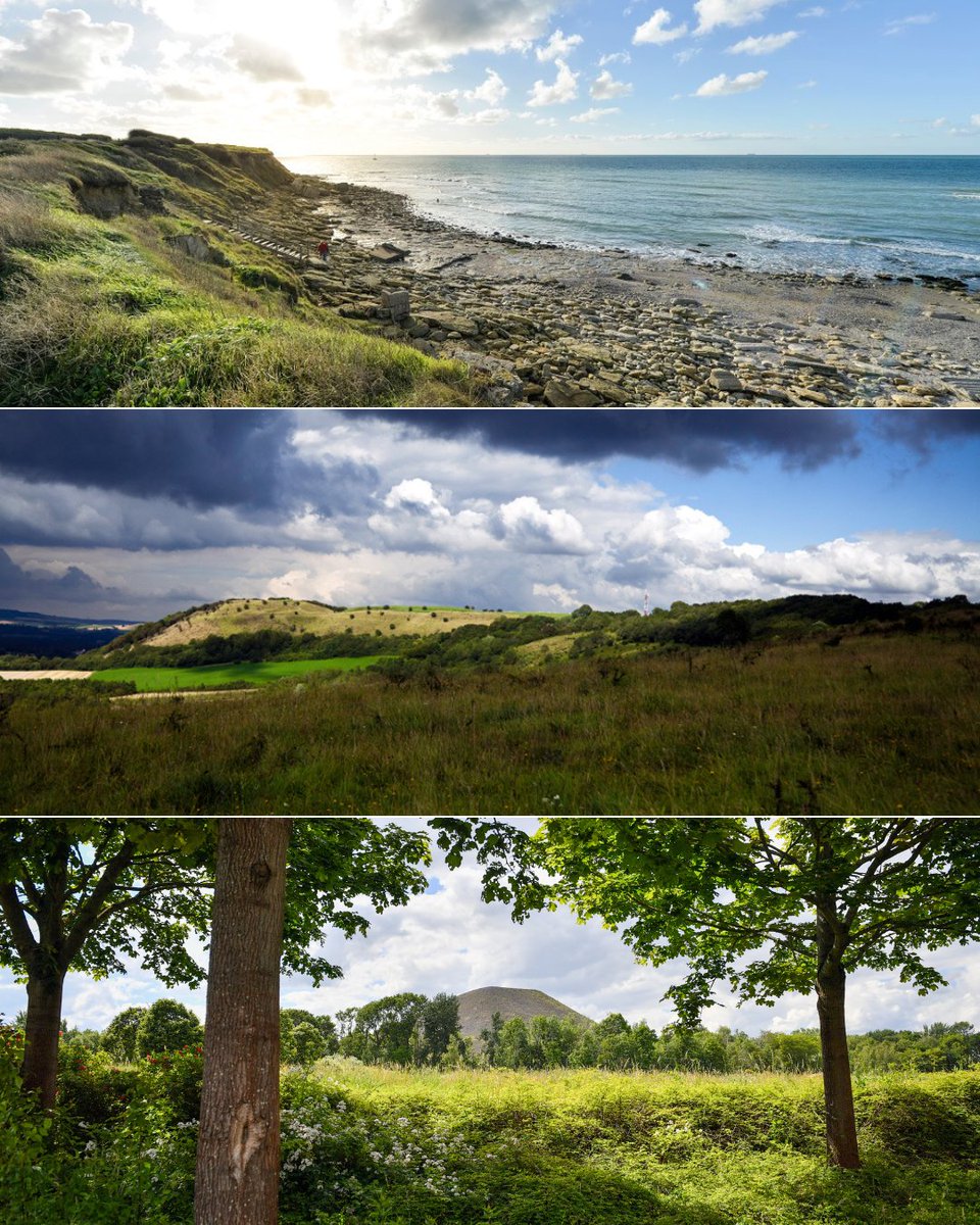 Entre terrils et carrières, dunes et falaises, marais et polders... le Pas-de-Calais abrite une biodiversité extraordinaire 💚 Chaque année, Eden 62 propose plus de 200 animations #nature gratuites pour explorer ces espaces naturels sensibles ➡️tinyurl.com/Sorties-nature…