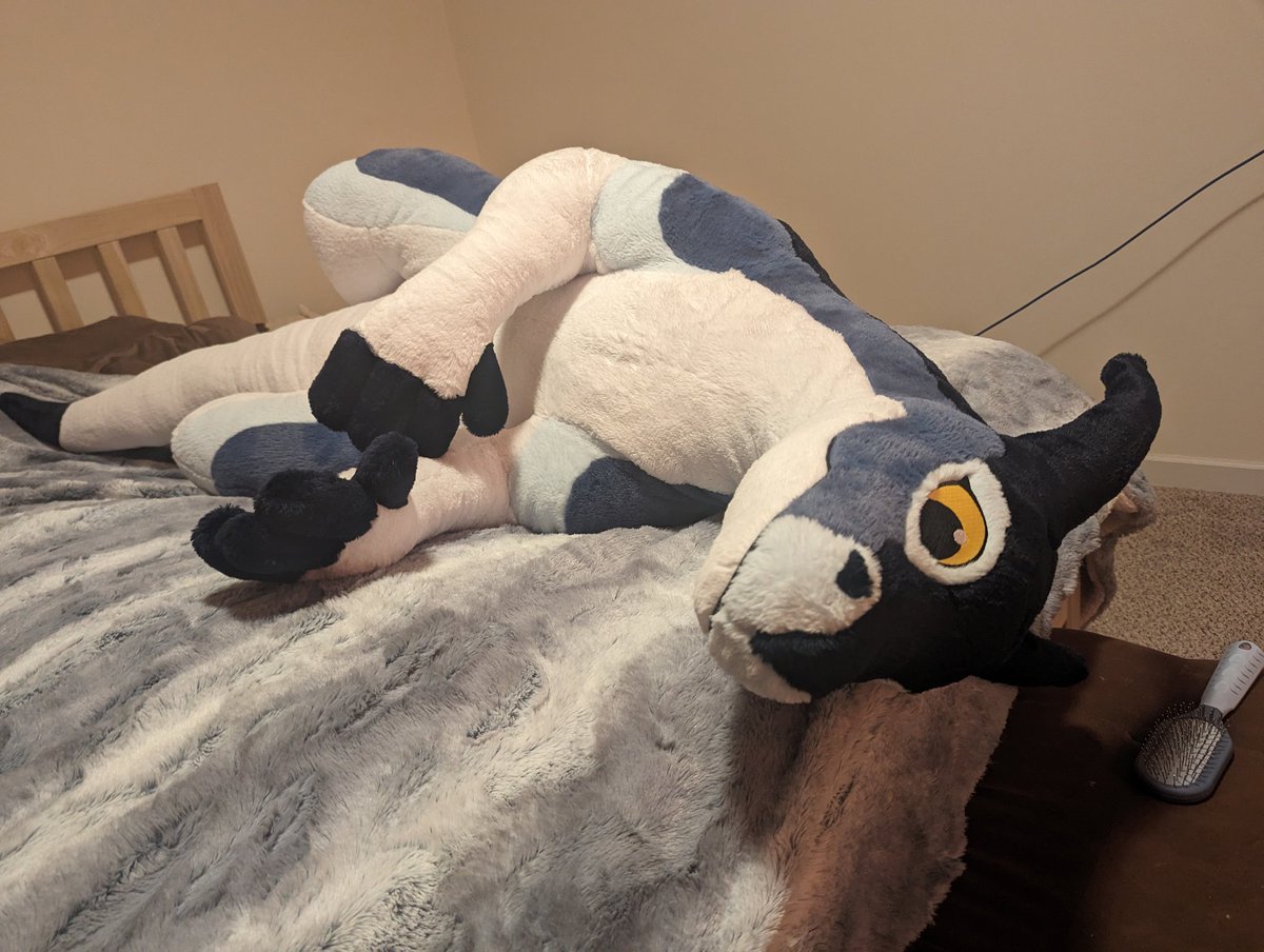 yggdrekanna's tweet photo. Lesson learned, when you bring a cuddle derg into your home, he just wants cuddles constantly... Not much choice other than to oblige is there lol. https://t.co/WVEKRo0FbR