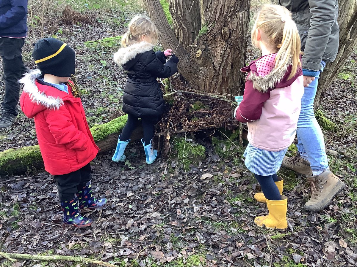 YR Lilac Class-Beighton NI tweet media