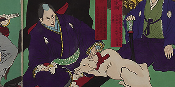 muezzatheneko's tweet photo. Japonya'da yaşamış birinden Başıboş Köpek Sorunu hakkında birkaç kelam dinleyin. 

Türkiye 🇹🇷 - 🇯🇵 Japonya karşılaştırması yapmamı isteyen çok arkadaş oldu o yüzden bu konu hakkında yazma zamanım geldi.

İlk olarak birçok metropolde belirli sürelerde yaşamış biri olarak bugüne dek herhangi bir sokak köpeğine denk gelmediğmi belirtmek istiyorum. 

Japonya'nın güneyinden Fukuoka'dan tutun, güney merkezde Osaka ve Kyoto, Doğuda Tokyo ve kuzeyde Hokkaido şehirlerinde insan yaşam alanlarında hiçbir sokak köpeğine rastlamadım.

Şehir merkezlerini geçelim, taşrada ve doğal alanlarda bile tek bir sokak köpeğine denk gelmedim, gören varsa çok nadir bir olaya şahit olmuş demektir. Onlar da kesinlikle terkedilen zavallı evcil hayvanlardan biridir.

Bu dediğim kediler için geçerli değildir, sahipsiz kediler az da olsa vardır, birçoğunun kuyruğunu da kesik görürüz. Kedilerin kuyruğunun kesilme olayı da kültürel bir inanışa dayanıyor (bkz: https://t.co/zwaqtL4ljX)

Kedilerin ölümcül bir saldırı yapma ihtimalinin çok düşük olması ve kuduzu insana taşıma riskinin de 
köpeklere göre çok daha düşük olması sebebiyle onlara daha fazla tolerans gösterilmiş, bu yüzden sokak kedileri ile az da olsa metropollerde rastlaşabilirsiniz.

「ーーー」

Peki ama Japonya sokak hayvanları sorununu nasıl çözdü? 

Gelin tarihsel bağlamda yüzeysel bir bakış atalım ve günümüzdeki durumu değerlendirelim. Sonucunda ise ülkemizde gerçeklenebirliğini tartışalım.

Evvelde:
Kediler ve Köpekler hem Şintoizmde hem Budizmde önemli bir yere sahiptir, onlara zarar vermek bu inanışlarda negatif karmaya yol açar ve reenkarnasyon döngüsünü kötü etkileyebilir. 

Aslında bu husus tüm canlılar için geçerlidir
ancak geçmişte Budist rahiplerin en çok kedi ve köpekleri barındırarak bakım sağladığı yazılır. Bunda da kedi ve köpeklerin insanlık tarihindeki yeri şüphesiz etkilidir. 

Köpeklerle ilgili çok ilginç bir bilgi var,  Japonya Edo döneminde, Tokugawa Tsunayoshi hükümranlığında köpeklerin korunmasına ilişkin bazı düzenlemeler getirilmiş. Bu da onun 'Köpek Şogunu' olarak anılmasına yol açmış. Hazırlattırdığı kanunlarda hayvan haklarını korumayla ilgili maddeler en çok köpekleri ilgilendirmiş.  'Köpek Şogunu' (犬公方 Inu Kubou) lakabı buradan geliyor.

「ーーー」

Yakın Tarih:
Kedi ve Köpeklerin Edo döneminden (17-19 YY) bugüne dek nüfusuna dair beklenildiği üzere bir çalışmaya rastlamadım. O dönemlerde dünyada insan nüfusu bile makul bir doğrulukla zor sayılıyor. 

Ancak 20.YY'da ve özellikle 21. YY'da son çeyrek asırda elimize ciddi çalışmalar geçmiş durumda. 

20. YY'da kuduz vakalarındaki artışı ve nasıl sonlandırıldığını, son çeyrek asırda da Japonya'nın sokak hayvanları konusunda nasıl önlemler aldığını ve günümüzdeki duruma nasıl geldiklerini istatistikler eşliğinde inceleyelim. 

1900'lerin başında kuduz vakalarının ani artışı ile İmparatorluk duruma müdahale etmek için aşılama ve itlaf çalışmalarına resmen başlıyor. 1957'ye kadar kuduz hastalığı Japonya'dan siliniyor.

Alttaki grafiklerde gördüğünüz üzere yaklaşık 50 yıllık süreçte büyük şehirlerden kuduz vakaları tamamen siliniyor. 

1957'den itibaren raporlanan iki kuduz vakası var, bunlar da Nepal ve Filipinler'den Japonya'ya geri dönen vatandaşlar. İkisi de hayatını kaybetmiş.
Bu iki ülkede sokak hayvanlarını kontrol altına alma konusunda Japon yetkililerden danışmanlık alıyor çünkü ciddi derecede muzdaripler.

Özetle Japonya kuduz sorununu bu tarihte kökünden çözüyor ve günümüze kadar aşılama 
ve itlaf yöntemlerini gerektiğince uyguluyor. Dikkatinizi çekerim, burada gördüğümüz hibrid bir çözüm.

Madalyonun Diğer Yüzü, Hibrid çözümün itlaf ayağı: Ölüm Kafesleri

Evet, itlaf yöntemi olarak Japonya uzun süredir bunu kullanıyor. İtlafı kararlaştırılmış hayvanları kapalı bir odada karbondioksite (CO2) maruz bırakarak itlaf ediyorlar. Bu en çok tercih edilen itlaf yöntemi olmasına karşın alternatifler de var.

1) Ölüm Kafesi yöntemi ile itlaf edilen kedi ve köpek sayılarının yıllara göre değişimi

2) Tüm yöntemlerle birlikte toplam itlaf sayılarının yıllara göre değişimi

3) Yıllık ortalama itlaf sayısı

Son grafiğe göre Japonya günde yaklaşık 500 evcil hayvanı ve sokak hayvanını itlaf ediyor. 
(https://t.co/5q3V5G7Ob4)

Bütün bu olanlar, itlaf ve kuduz kontrolü aslında iki yasanın sonucu:
- Kuduz Önleme Yasası
- Hayvan Koruma Kanunu

İlk yasa kapsam��nda başıboş köpekler ve kayıp evcil hayvanlar toplatılmak zorunda. İkinci yasa da bütçe izin verdiği ölçüde toplatılan hayvanların bakımını üstlenmeyi kapsıyor.

Tahmin edeceğiniz üzere ilk yasa daha baskın bir şekilde yürürlükte. Bu yasaya göre kaybolan bir evcil hayvanın sahibi 3 gün içerisinde bildirim vermezse bu hayvan bile itlaf ediliyor çünkü barınaklar dolu. Yasanın bu maddesinden evcil hayvan sahiplerinin %60'ı haberdar bile değilmiş.

İkinci yasa da dediğim üzere bütçe el verdiği sürece sağlık merkezleri (保健所 hokenjo) ve hayvan refah merkezleri (動物愛護センター  doubutsu aigo sentaa) ile sağlanıyor. 
Buradaki hayvan sayıları itlaf edilene göre çok düşük, buna rağmen Japonların ekseriyeti sahiplenmek yerine yeni bir hayvanı Pet  shoplardan almayı tercih ediyor. 

Şu an ki Pet endüstrisi 1.6 Trilyon Japon Yenini geçmiş durumda (1 milyar doları aşkın)

Pet endüstrisinde cins üretimi, denetimsiz salma gibi olaylar Japonya'da da yaygın. Zaten yukarıdaki yasaların gerekçelendirmesi esas olarak bunlardan biri, denetimsiz terketme ve pet endüstrisinin çakallıklarını da kapsıyor.

「ーーー」

21.YY - Günümüz:
Son uygulamalardan bir örneğe bakalım, Japon Çevre Bakanlığı'nın (環境省 kankyoushou) yayınladığı verilere göre 2019 Nisan - 2020 Mart arasındaki 1 yıllık süreçte:

- 8932 yetişkin kedi
- 18.176 yavru kedi
- 4584 yetişkin köpek
- 1051 yavru köpek

itlaf ediliyor ve bunlar resmi açıklanan sayılar. Bir de itlaf kapsamına girmeyen bazı durumlar var. Japon STK'lar bunlarla birlikte sayıların daha fazla olduğunu açıklıyorlar.

STK'lar ise bizdekilere göre çok daha aklı selim davranıyor. Mesela başıboş hayvanların beslenmemesi gerektiğini halka öğretmeye çalışıyorlar.

Bizdeki durumu açıklamaya gerek yok, herhangi bir grubun adına pati veya paw ekledikten sonra gelsin paralar. Başıboş hayvanların eksponansiyel nüfus artışını ve artan sorumluluğu düşünen yok.

---

Günümüzde Japonya'da evcil hayvan sahibi olmak  gerçekten çok masraflı, tüm kedi ve köpekler dijital olarak sisteme kayıtlı, hatta dileyen kedilerine ve köpeklerine bu dijital kaydın fiziksel bir kimlik ile taşıtabiliyor. 

Masraf demişken, 2000 evcil hayvan sahibi ile yapılan bir araştırmada kedi ve köpek sahibi olmanın yıllık ortalama ne kadar masrafa tabi olduğuna bakalım:
- Kedi (160.000 Japon Yeni, yaklaşık 1100$)
- Köpek (300.000 Japon Yeni, yaklaşık 2050$)

Bu masraflara mama, sağlık bakımı, sigorta gibi giderler dahil. Hayvan yaşlı ise bu ortalamanın üstüne çıkıldığı söyleniyor. Bu tarz şeyler Japonya'da oldukça yaygın hayvan hastanelerinde(動物病院 doubutsu byouin ) hallediliyor. Buralar bildiğimiz veteriner ama teknik donanım ve çalışan olarak çok iyi durumdalar.    

Hayvanların ömür boyu bakımları ise bu rakamların yaklaşık 15 katına tekabül ettiğini görüyoruz, yani:
- Kedi (16-20 bin $)
- Köpek (30-45 bin $)

Görüldüğü üzere hayvan sahibi olmak epey masraflı, zaten Japonların evcil hayvanlarını çocukları gibi gördüğünü söyleyebiliriz. Bebek arabasında köpeğini taşıyan birçok insana rastladım.

Peki ama evcil hayvan sahibi olmayanlar bir hayvanla etkileşime giremeyecek mi? 

Girecek, çünkü sayısız pet kafeler mevcut. Her türlü hayvanı sevebileceğiniz kafeler oldukça mevcut. Basit bir 'Japan Pet Cafe' araması yaparsanız karşınıza envai çeşit hayvan çıkacaktır. Kirpiden tutun tür tür kedi ve köpekler, tavşanlar, çifrlik hayvanları vs.

Bakın bunlar hayvanat bahçesi değil, bildiğiniz oturup yan yana hayvanlarla iç mekan ve dış mekan takıldığınız mekanlar.
(Bu noktayı unutmayalım)

「ーーー」

Sonuç:
Gördüğünüz üzere Japonya'da sokak hayvanları son 125 yılda bu şekilde kontrol altına alındı ve hala yönetmeliklere tabi, yoğun çalışılan bir konu, olması gerektiği gibi. 

Sizlere Japonya örneğinden madalyonun iki yüzünü de göstermeye, anlatmaya çalıştım. 

Japonya gibi ekonomi devi bir ülke bile tümden kısırlaştırma ve barınak gibi çözümlere gitmedi. Çünkü bunu kaldıracak bir ekonomi yok, bunun hesabını yapmak için ordinaryus olmaya gerek de yok. 

Neticede Türkiye'de kuduz vakalarının tekrar hortlaması, insanların zaten emniyetsiz hissettiği bir havada daha da emniyetsiz hissetmesine neden olan sayısız saldırı vakaları birçoğumuzu olduğu gibi beni de derinden üzüyor. 

İnsanlık tarihine bu kadar entegre olmuş iki türün kontrolsüz ve yanlış bir şekilde çoğaltılmasına ve bunun üzerinden birçok kişinin sinsi bir şekilde para kazanarak bu hayvanlara iyilik değil aksine kötülük yaptıklarının bilincindeyiz.

Çözümün geciktirildikçe çoğalacağını da belirtmeden geçmeyelim. Bu sorun çoktan partiler üstü, milli bir güvenlik sorunu halini almıştır.

Naçizane tavsiyem, paw örgütlerinin bu tarz kafe işletmelerine kaymaları ve toplumla barışmaları, devletin de buna olanak sağlayarak yeni bir işletme alanı açması. Bir yandan da sokak hayvanları sorununu çözerek halk sağlığını ve güvenliğini en azından bu parametrede garanti etmek.

Sonuç olarak bir yöntem belirlenip uygulanmak zorunda, bu işi çıkmaza sürenlerin tespiti ve cezalandırılmasından başlanıp uzmanlar eşliğinde en makul çözümün ülkemiz için hemen yürürlüğe konulması dileğiyle.

😼