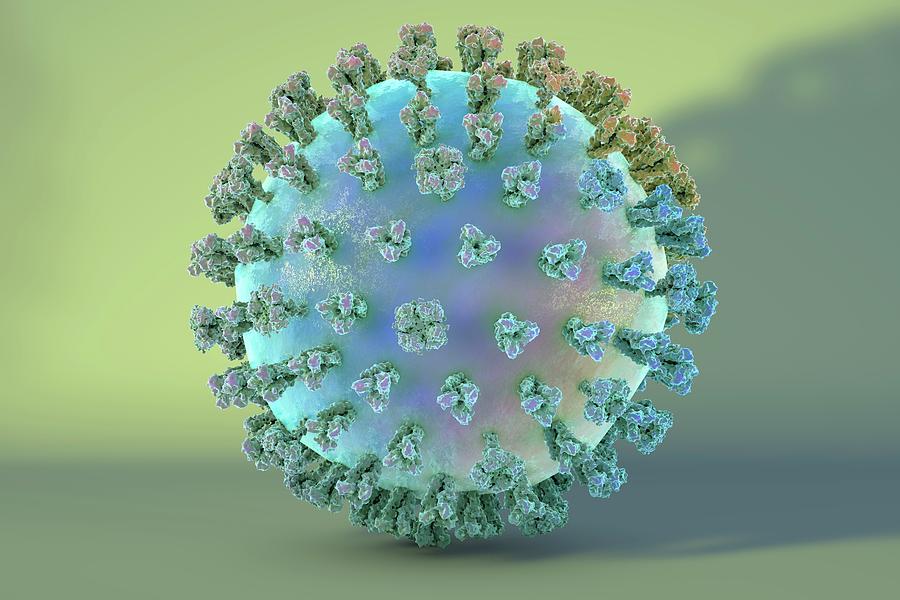 The human body's immune system recognizes the H1N1 virus as a foreign invader and triggers an immune response to fight the infection.
#inflammation #tissues #tcells #organ #Immunology #H1N1 #cytokines #virus #Immunecells #infection #Bcells #antibodies #organfailure #pathogenesis