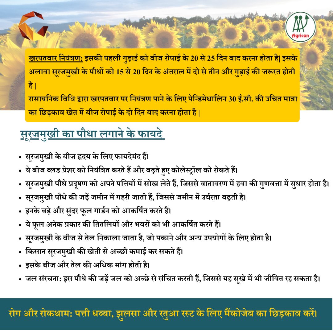 agriconsamiti's tweet photo. Benefits of using Sunflower.
@Commonland @igkv_kisan @harma_harma @manasgr88 @surendra97123 @chandelnitesh12 @Manisha_M14 @deepak02085791 #information #kavirkisan #kavir #benefits #sunflower https://t.co/96tjYGKdm6