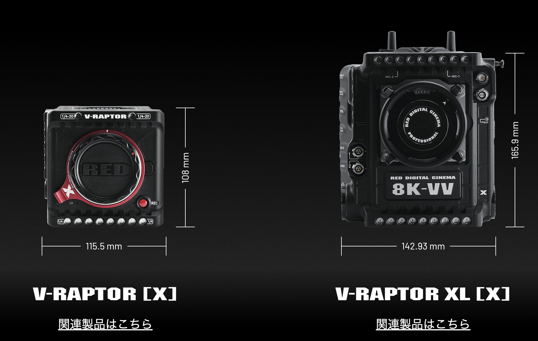 廻人カメラ　オレンジ RED V-RAPTOR 8K VV｜小輝日文レンタル公式サイト