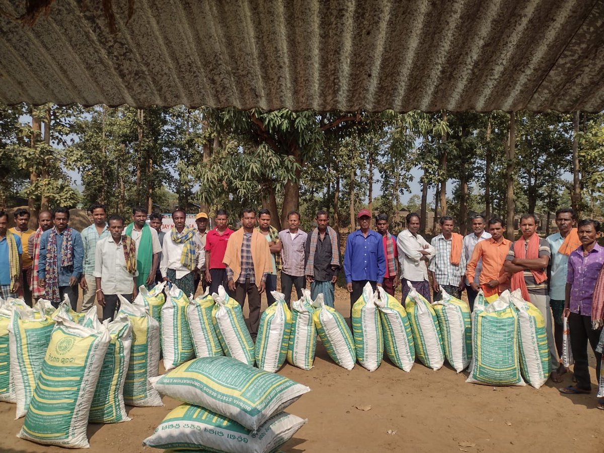 tabc_mssrf's tweet photo. In the pursuit of sustainable agriculture, @bptabc_mssrf supported 151 farmers in Boipariguda block with 73 quintals of groundnut foundation seed for seed multiplication under the @krushibibhag supported #ASSM project. Planting seeds of change! 🌱
@arvindpadhee @rajaaswain https://t.co/qiFqSBTeAu