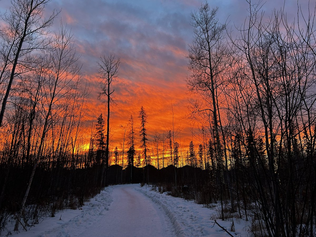 Connie Benson tweet media