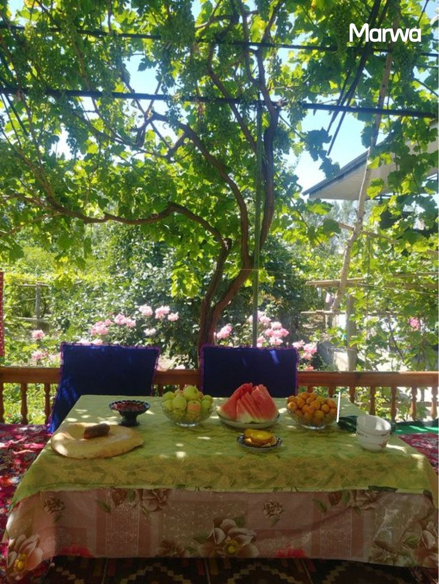 marwauz's tweet photo. #yoz #summer #tashkent #uzb #uzbekistan #Sunny
rasm: twitterdan https://t.co/Z7tarVaOEL