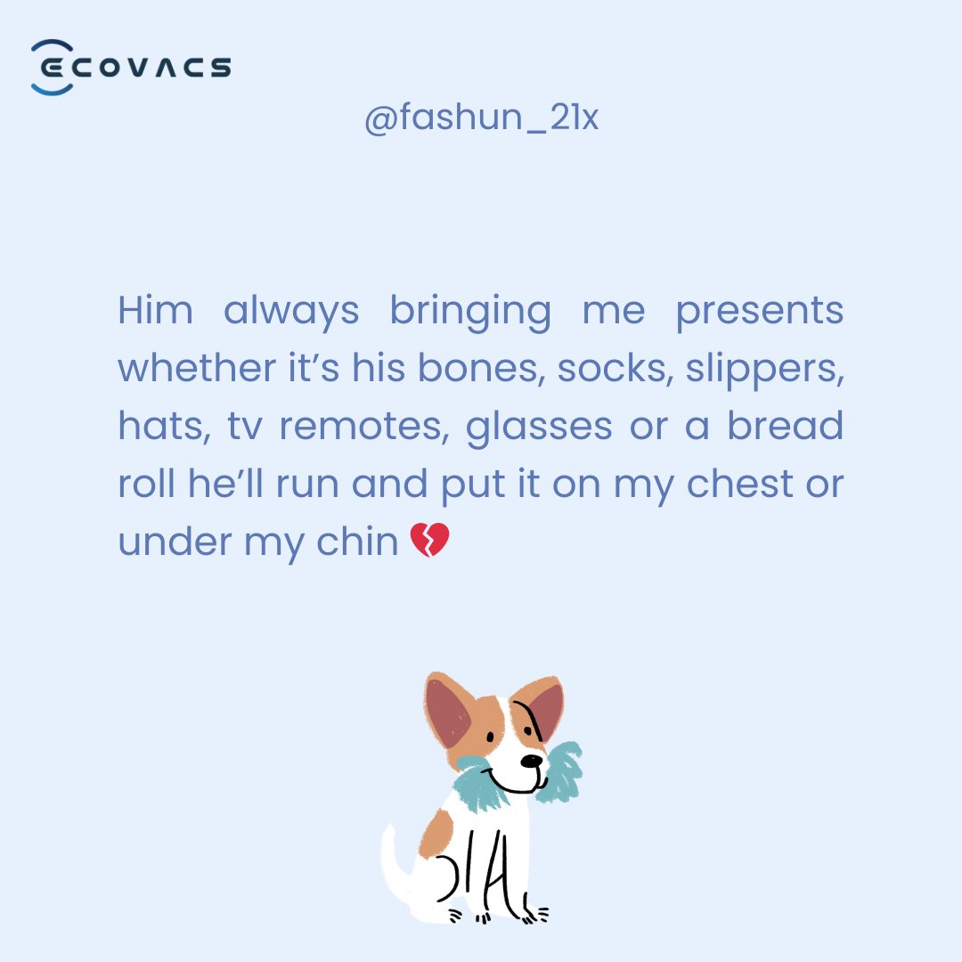 ecovacsrobotics's tweet photo. On #LoveYourPetDay, let's dive into heartwarming stories from our DEEBOT owners and their furry friends. ๐พ๐
Share your own lovely tales in the comments below!
Discover how DEEBOT makes life with pets a breeze at https://t.co/EQr9lLqptz
#PawsomeDEEBOT #PetsofECOVACS https://t.co/TSU4W2jGro
