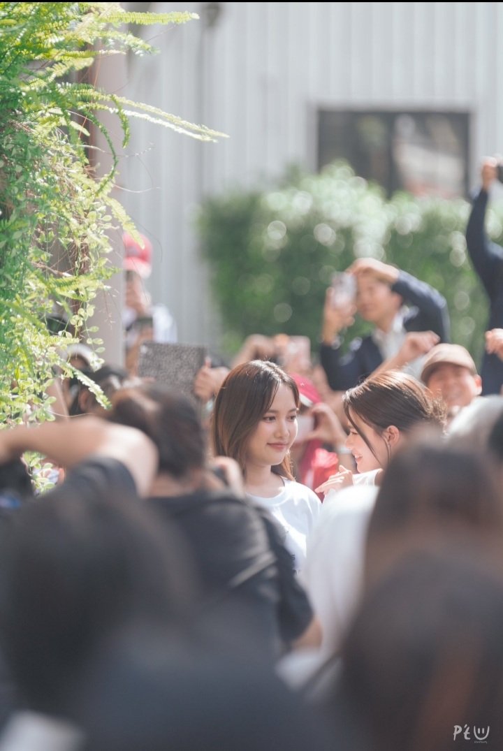 Panda ( ^3^ ) tweet media