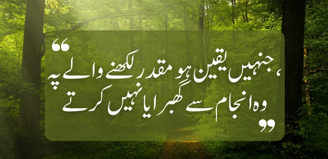 sheikh salman (@sheikhs00088768) on Twitter photo 