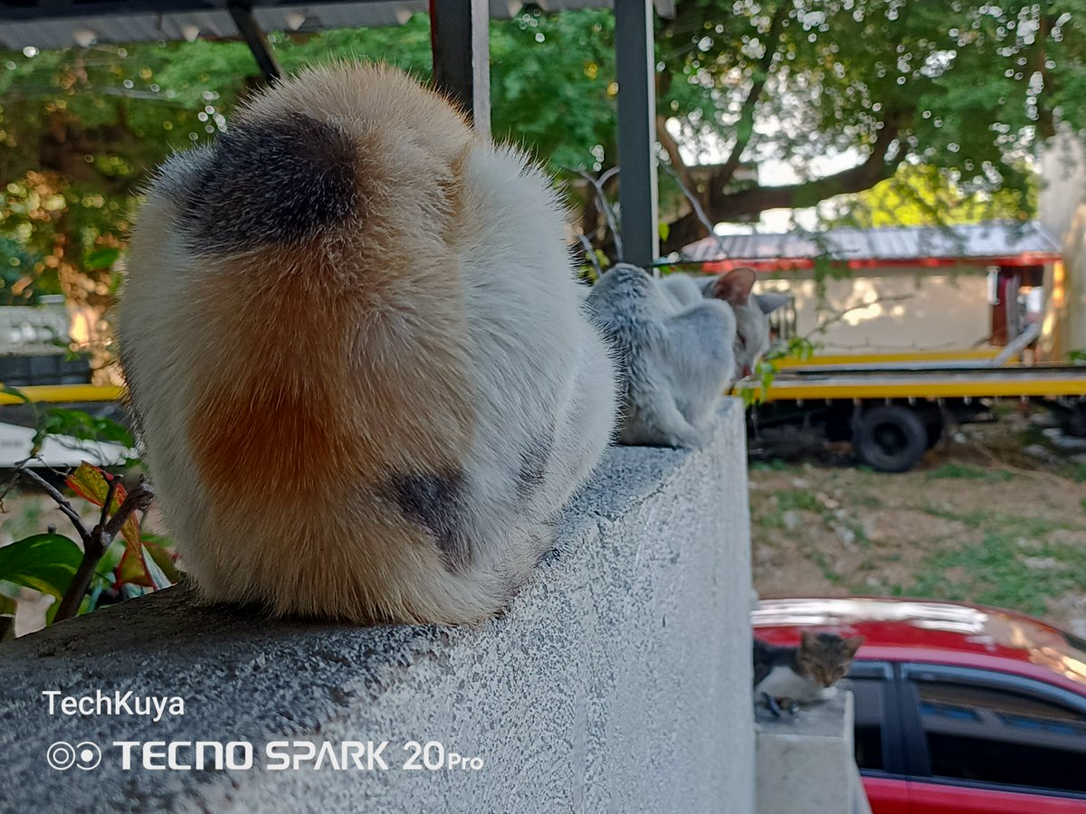 TECNO just keeps getting better! For example, the TECNO SPARK 20 Pro touts a 108MP main camera with up to 3x in-sensor (lossless) zoom!

Review: youtu.be/Aw8Hy2BQIf8

#TECNOSPARK20Pro #BeTheGameChanger #TECNOPhilippines #TECNOSpark20Series #TECNOSpark20