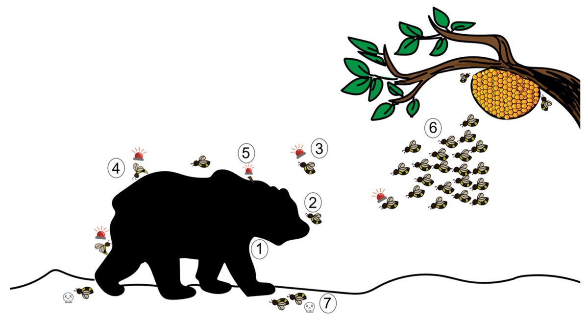 Insects_MDPI's tweet photo. #mdpi_insects #Review
📢#Olfactory Strategies in the Defensive #Behaviour of #Insects
👥By Kavitha Kannan et al.
👉https://t.co/B0W6cB2Sjk
#chemicaldefense #alarmpheromone #olfactorystrategies #odorantcoding #socialinsect https://t.co/2lWq4E2DYH