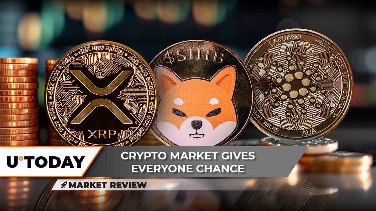 amey delorey tweet media