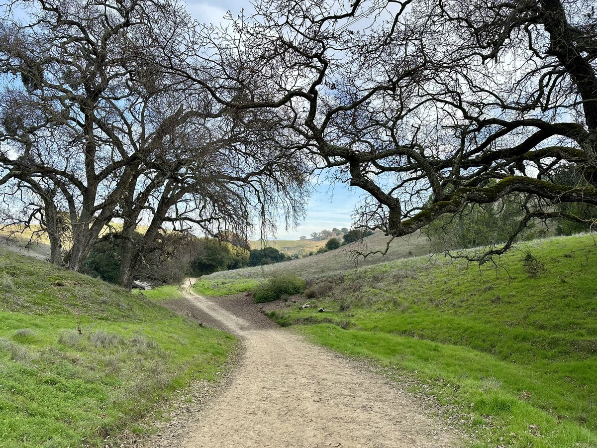 Mitali Perkins tweet media