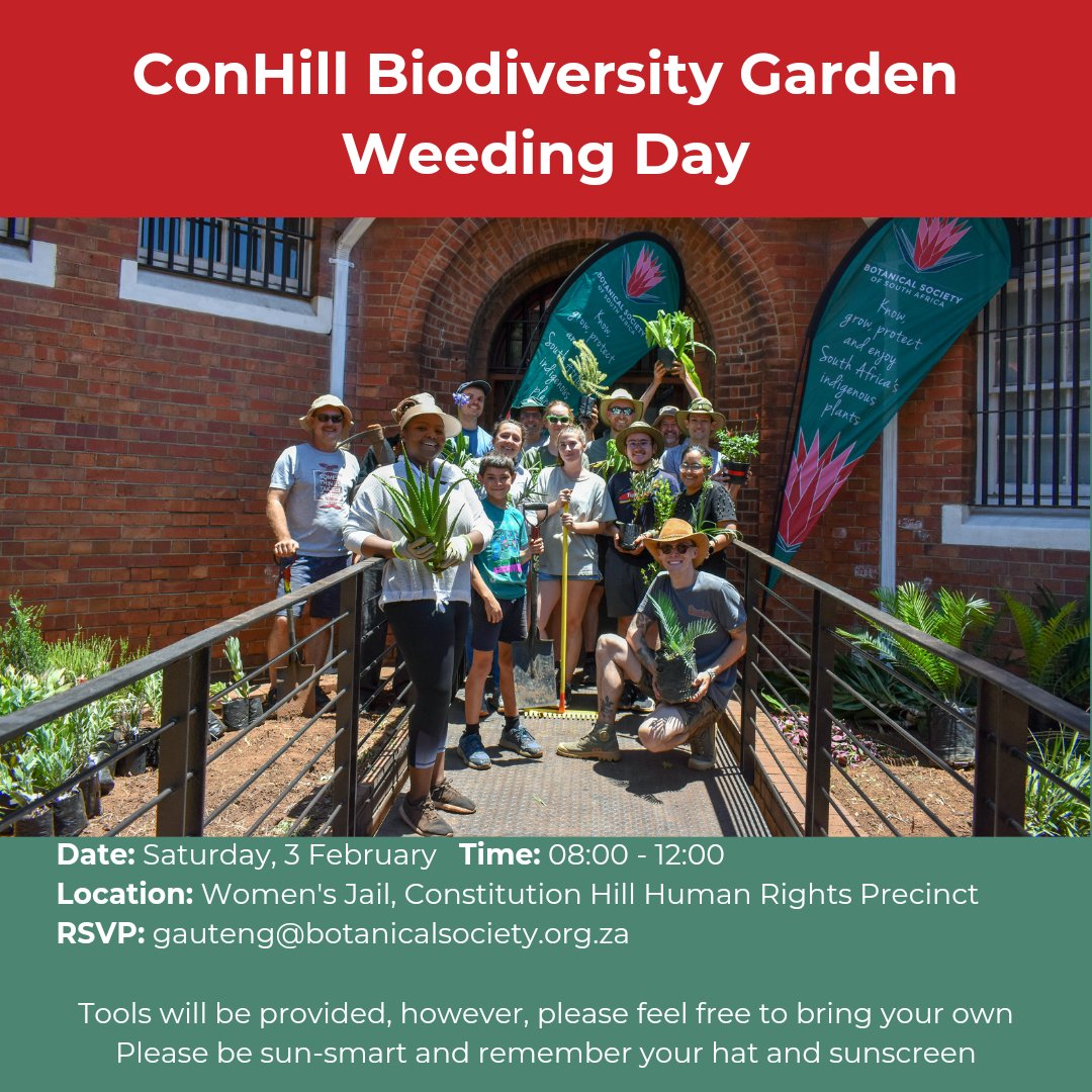 Join us for another session in our biodiversity diversity garden at Constitution Hill tackling weeds and talking about gardening with indigenous plants in urban spaces 🌱