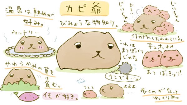 今日はカピ爺の紹介です。
 
#おじいさんの日  #カピ爺 #カピバラさん 