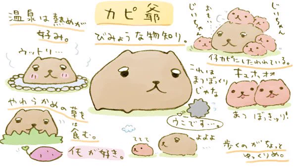 今日はカピ爺の紹介です。
 
#おじいさんの日  #カピ爺 #カピバラさん 