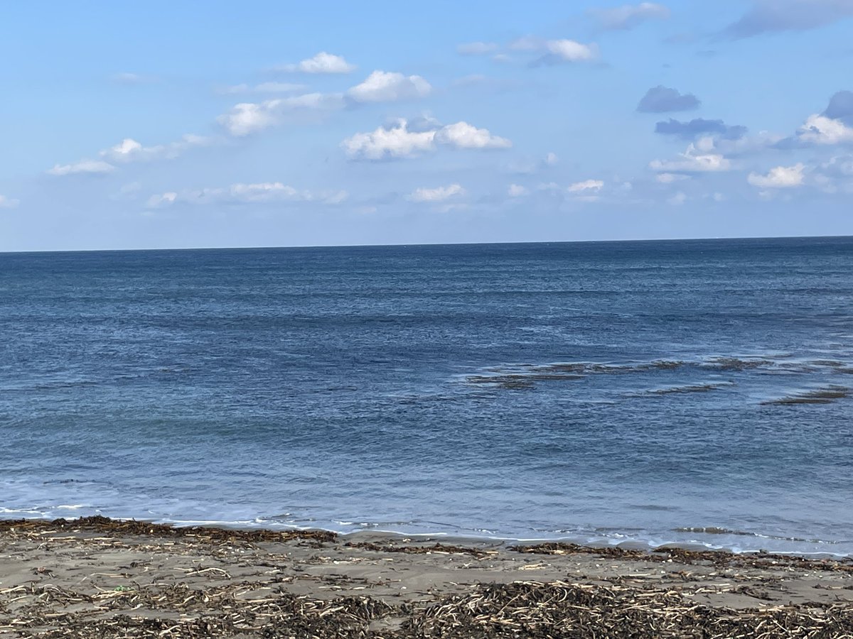 fluke7373's tweet photo. 2回戦目は南西を避けられる岩礁帯サーフに🌊
ゴミが凄くて撃沈でした💧

１つのルアーしか使えない縛りの釣り🎣
ちょっとハマりそうです🤣

また来年楽しみにしてます😊

#DMB23 https://t.co/E563t8Q4CZ