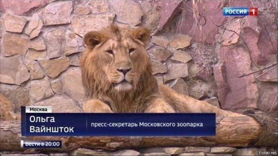 shnur0_ok's tweet photo. Ольга, чудесно выглядите! https://t.co/9vwuJnVizg