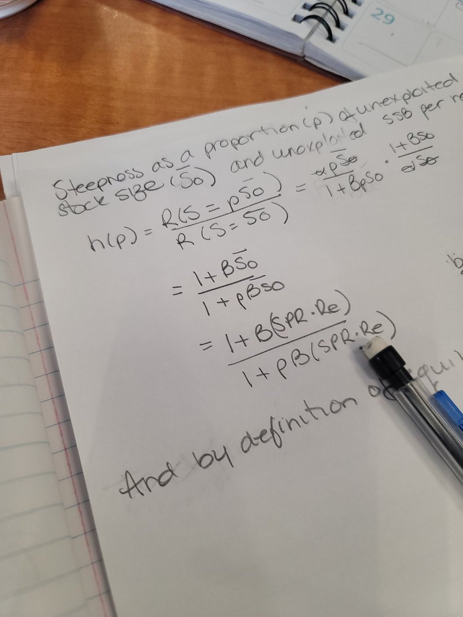 happily working on a lil proof first thing this morning 💕

(also yes, finally trying to make sense of SR steepness, a foreign concept on the east coast)