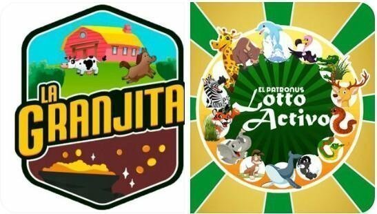 AGanarDinero411's tweet photo. #Lotería #LottoActivo #LaGranjita 
#Animalitos

31/01/2024

ANOTEN EL #RompeBancas Para Hoy 

👉 10 TIGRE 💰🔥

@turpialsportsys
@m_estiben
@marrpacheco
@radiohipico1 

 👉 0412 362 07 35 

PONTE EN LOS MILLONES.. https://t.co/eWoiBr9XoX