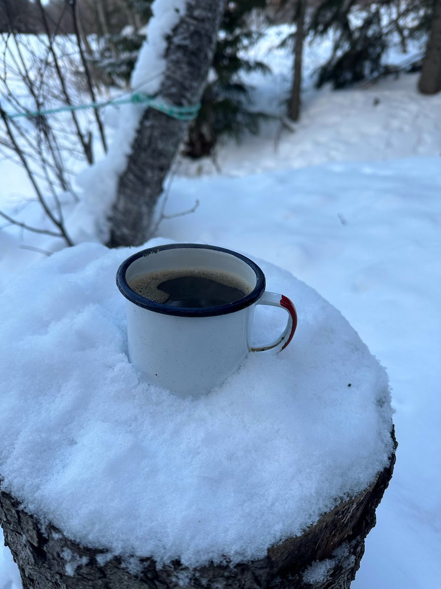 BasimaJohani's tweet photo. A lifetime experience 🇳🇴 https://t.co/dmYoLrfjDF