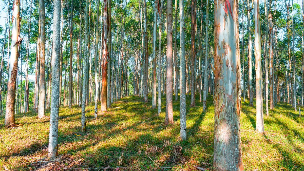 Mail: A More Sustainable Choice Than You May Think!🌿 Here's a fact that may change the way you think about mail: Recycled paper fibres can be recycled up to 7 times. #mail #print #sustainability