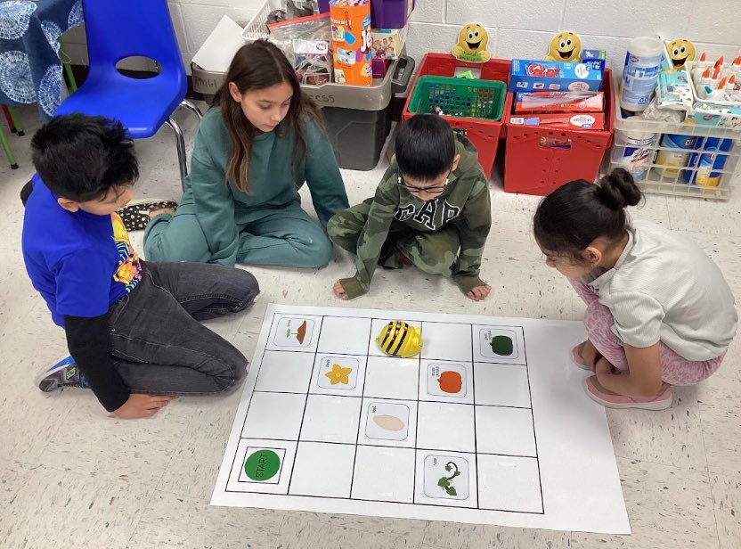CS Connection in 2nd grade! Ss programmed Bee Bot to follow the sequence 🔁 of THREE different life cycles:
  🐸Frog Life Cycle
  🦋Butterfly Life Cycle
  🎃Pumpkin Life Cycle 

#CSforAll #coding @roundraccoons