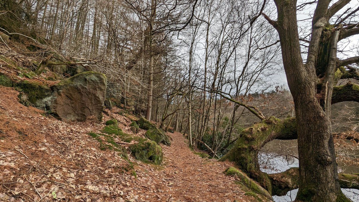 CazB82's tweet photo. Few pics from a walk last Saturday ... https://t.co/0zO6eWGWqU