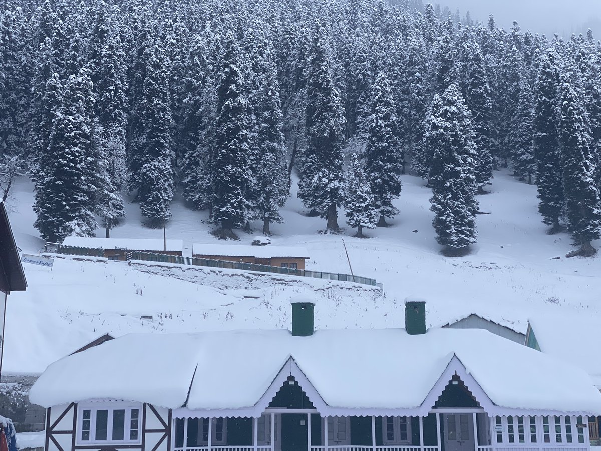 JandKTourism's tweet photo. Hello snow! 🌨️🌨️
Some visuals of the snowfall from across the valley. 
#snow #winter #mountains #skiing #Gulmarg #sonamarg #pahalgam #dodhpathri #yusmarg #gurez #snowfall #travel #JammuKashmir 
@diprjk https://t.co/OSkgmOz80Z