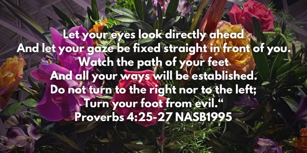 lyndad68's tweet photo. #Proverbs42527 #lookahead #watchwhereyouaregoing #Godwilldirectyourpath #donotturntotherightortheleft #stayawayfromevil #jeweltoneweddingflowers https://t.co/UqWeFsfKi8