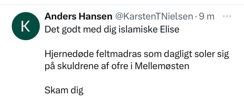 Elise Bjerkrheim tweet media