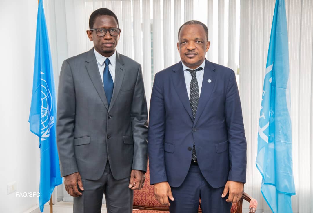 GABON/LA FAO/LA BAD /LA BM examinent les axes de collaboration pour renforcer leurs partenariats en soutien au développement de l'Agriculture au Gabon. Athman Mravilli, Coordonnateur de la FAO a rencontré les représentants de la BAD et de la BM au Gabon dans cette perspective