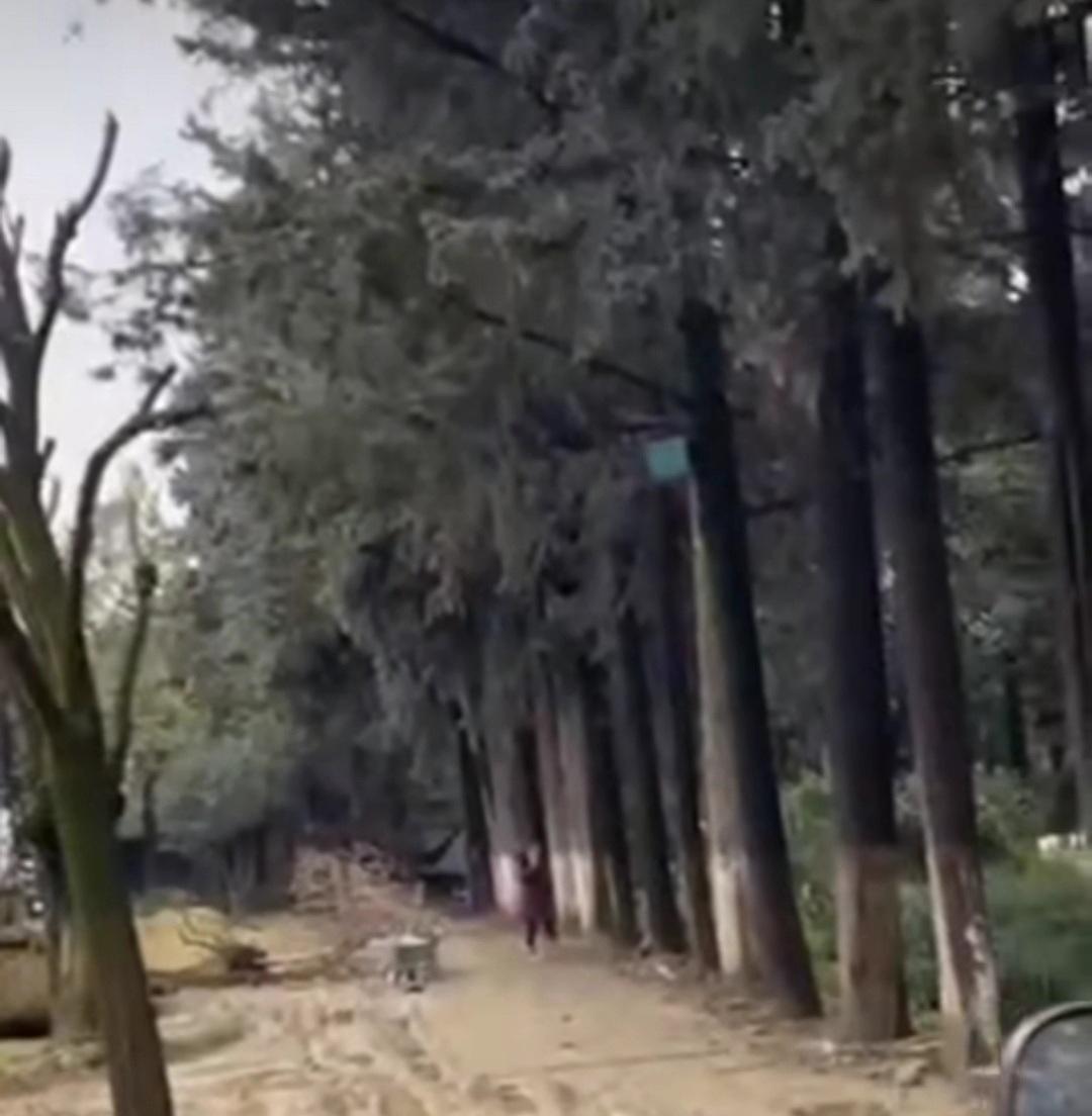 #Antakya Atatürk Parkı'nda neler oluyor? Asırlık ağaçlar hangi amaçla kesiliyor? Kenti yeşil alanlarla donatmak ve yaşanılabilir kılmak bu mudur? Mevcut park bahçeler korunsun razıyız!
<a href="/HatayValiligi/">T.C. Hatay Valiliği</a> 
<a href="/HatayBSB/">Hatay Büyükşehir Belediyesi</a> 
<a href="/AFADBaskanlik/">AFAD</a>