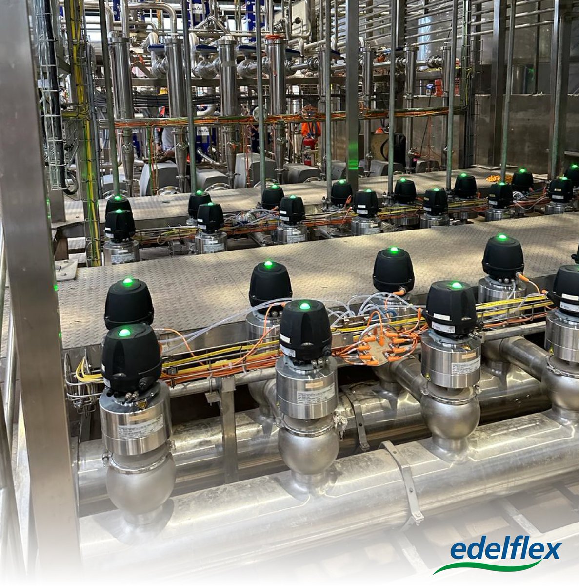 edelflex's tweet image. Les compartimos el recorrido que realizamos junto a nuestros colegas de Edelflex México, una Megaplanta CIP de 8 líneas con 11 circuitos de calentamiento, parte de un proyecto emocionante que estamos culminando en una nueva destilería en Tequila, México. ¡Vamos por más! 🙌