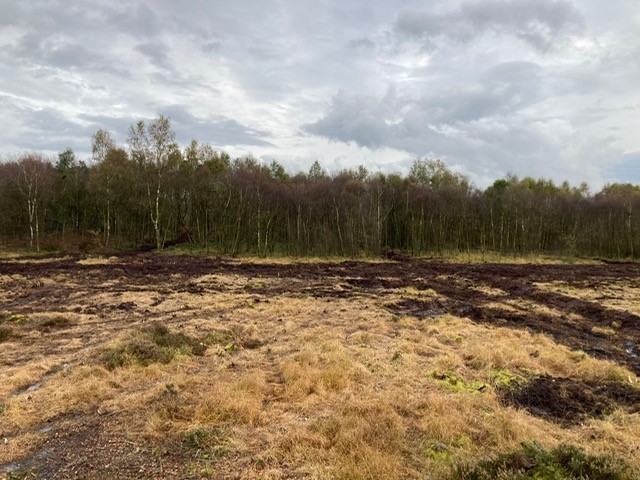 ccnw1's tweet photo. The specialist CCNW team has completed another project on behalf of Natural England. 
A series of rewetting and restoration works were carried out on Astley and Bedford Mosses, an SSSI-designated lowland raised bog. https://t.co/lXCIQeo0Oa