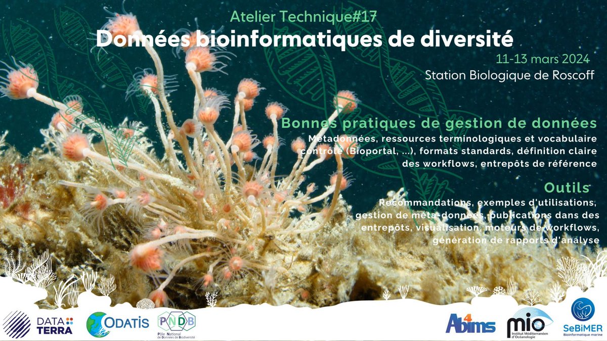 PNDBiodiv's tweet photo. ⁉️atelier #bioinformatique des #données marines organisé par @Odatis_Ocean et #PNDB
📅11-12-13 mars
📍Station biologique #Roscoff @SBRoscoff
👉Au programme : bonnes pratiques (principes #FAIR, standards, ...) et outils existants
info & inscription : https://t.co/pAko7z7org https://t.co/9Z4Hu8g7Y1