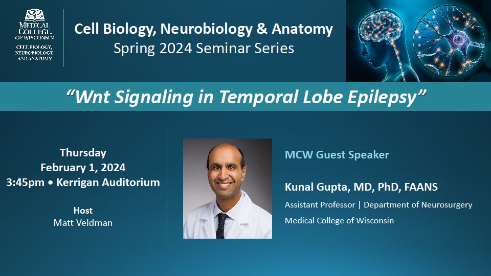 CBNA Spring Seminar Series kicks off this week!! Thurs 2/1, 3:45pm, MCW Kerrigan Auditorium - JOIN US! #neuroscience #EpilepsyAwareness @MCWNeurosurgery