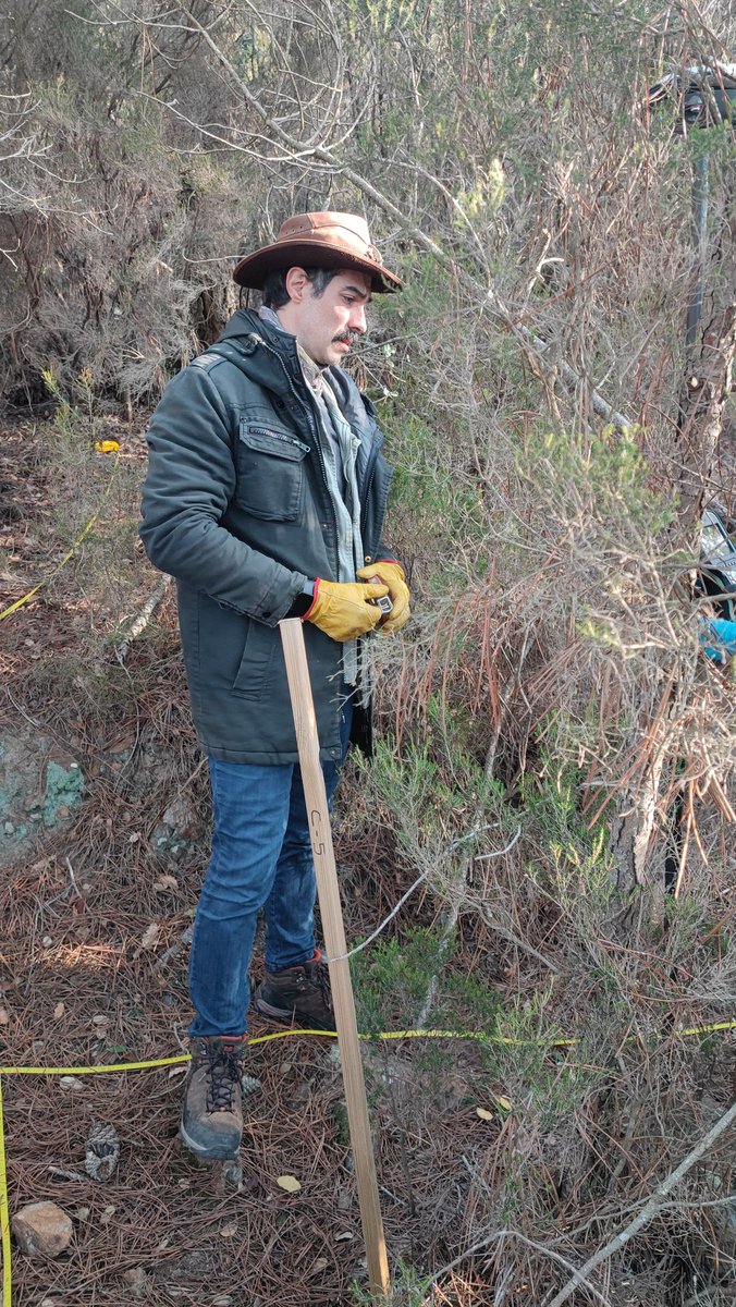 Xavier Ubeda (@xubeda) on Twitter photo Forest vegetation inventory in Cadiretes site. What is level of recovery of soil and vegetation after 30 years postfire evolution? How would you manage this landscape? @Holisoils project @gram_ub <a href="/GeografiaUB/">Geografia UB</a> Forest vegetation inventory in Cadiretes site. What is level of recovery of soil and vegetation after 30 years postfire evolution? How would you manage this landscape? @Holisoils project @gram_ub <a href="/GeografiaUB/">Geografia UB</a>