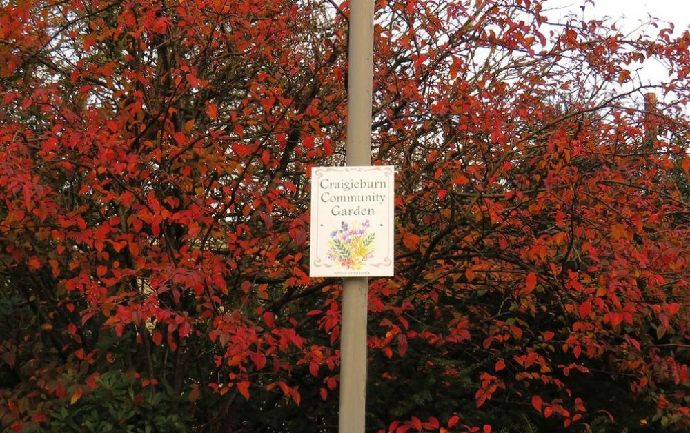 corrascot's tweet photo. This #NationalStorytellingWeek we want to celebrate and share stories of community individuals and groups who have stepped up to create change within their local space💬

Today we're highlighting Craigieburn and the brilliant work that went into creating the community garden

1/2 https://t.co/Nj0Lq7nVw6
