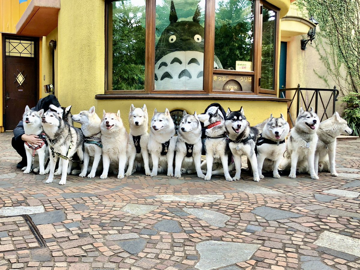 本日お散歩中に記念撮影されていたみなさん